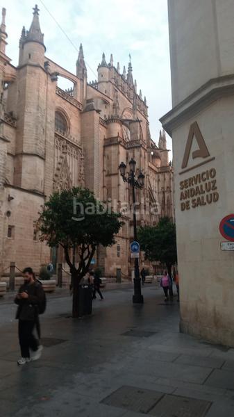Foto 90a9b438-fa38-40e1-a168-5d03c68e1442. Lloguer estudi a Arenal - Museo Sevilla