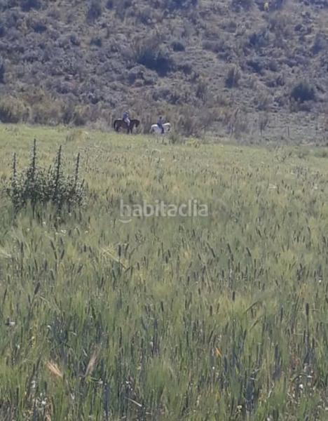 Foto 704e2f0f-a7d8-4a0b-be9f-4561051ea5ad. Finca rústica a Estepa