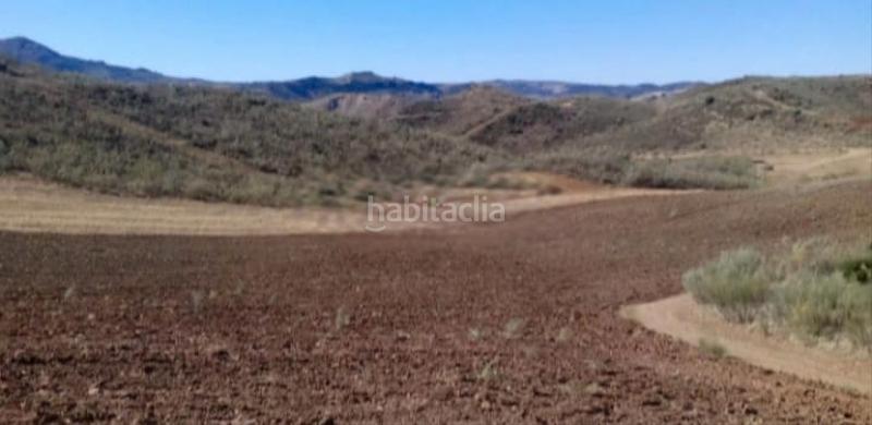 Foto cb1ceda4-5bdf-49d0-8734-98faea9ec3b2. Finca rústica a Estepa