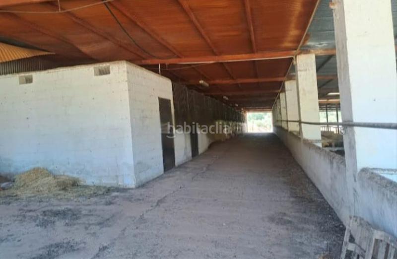 Foto db45fc60-643d-457a-a99d-720758c5b493. Finca rústica a Estepa