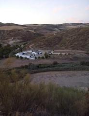 Finca rústica a Estepa. Magnifica finca