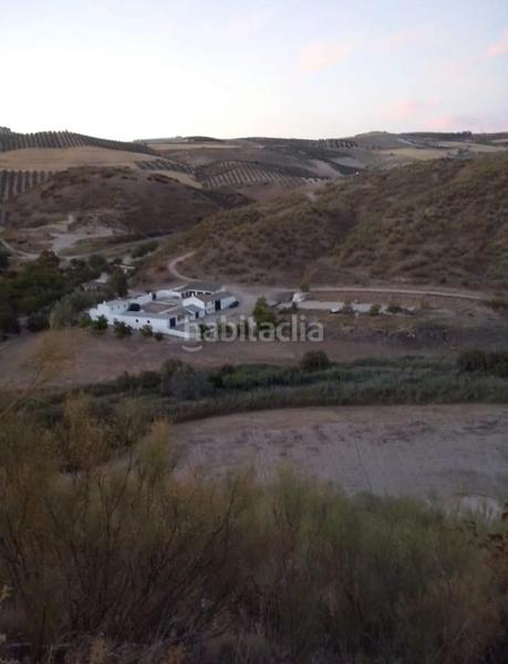 Foto f07c2d02-75d3-4cf3-b7cc-2972ccbaade9. Finca rústica a Estepa