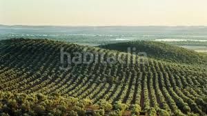 Foto 3fa6d7a8-285e-4108-800a-34b63f09dd35. Finca rústica a Alcalá la Real