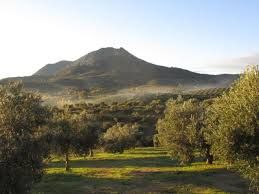 Finca rústica en Pruna