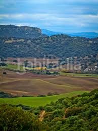 Foto 33b4fb84-8ac7-4b16-8cc4-1a8e1dfa6fc6. Finca rústica a Pruna