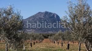 Foto 49af5886-5d7a-4c83-ac96-0be634c37b1e. Finca rústica a Pruna
