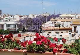 Foto 1a6bdfaf-0ee5-4959-a90f-5c390a1914ed. Terreny residencial a Torre Cruz - Los Molinos Utrera