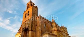 Foto aa7177f9-3d20-4e20-96a6-7211948be713. Terreny residencial a Torre Cruz - Los Molinos Utrera