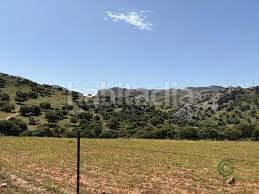 Foto ce30f82f-ac01-480b-860d-50e454d1335a. Finca rústica a Aracena