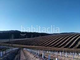 Foto f83b9d41-c0f2-49bd-8dfd-45853177535c. Finca rústica a Palma del Río