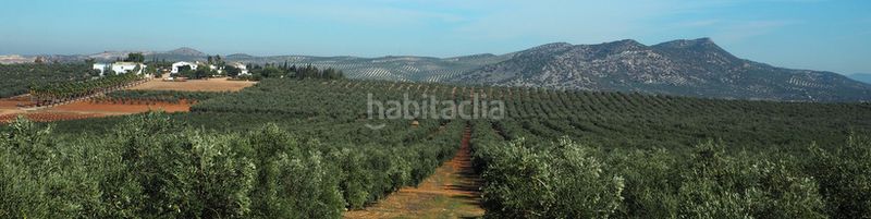 Foto 06b65b01-5776-4f1f-af0a-962cad65917f. Finca rústica a Campillos
