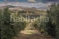 Foto 5d61371e-faab-445c-8e53-9614973df0b0. Finca rústica a Campillos
