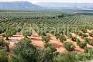 Foto ce80c105-cb39-4d55-9a51-c5675c9dc897. Finca rústica a Baena