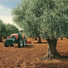 Landgut in Montilla. Proyecto agro explotación agrícola de olivar intensivo y almendr