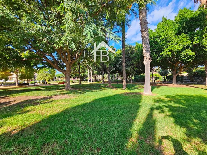 Foto 15116534-4d89-493a-9a1e-c32c61de5051. Fondo rustico in Centro Mutxamel