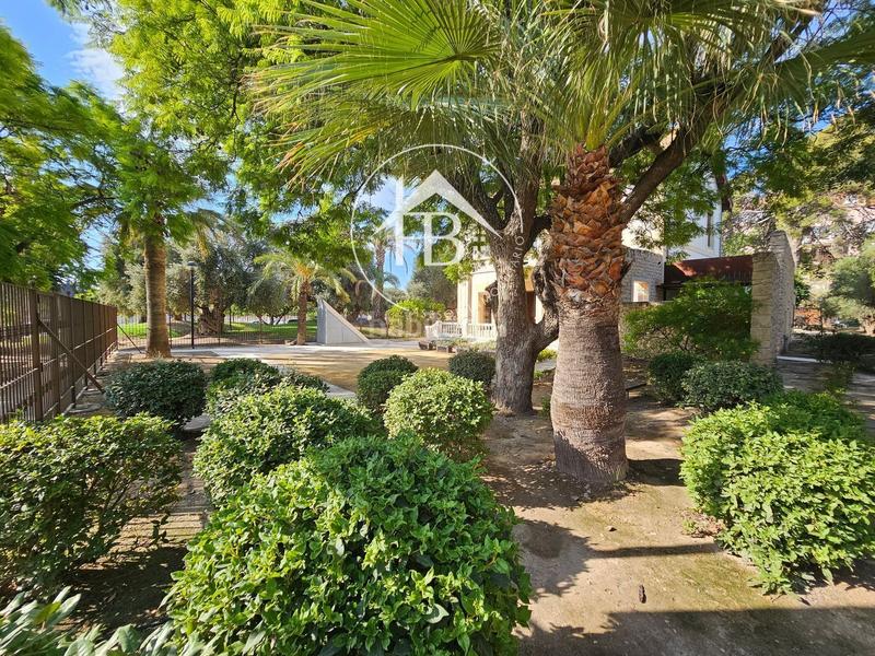 Foto e4d3ffb0-7ce3-425e-a094-d93f885183da. Finca rústica a Centro San Juan de Alicante