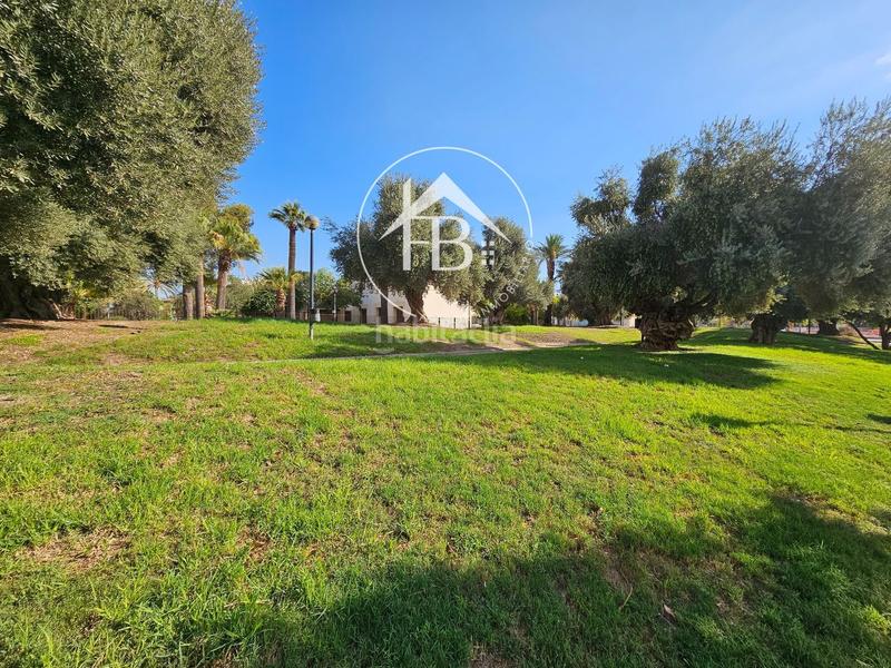 Foto f890536c-2c92-4a0a-a6b7-d9904080baf6. Finca rústica a Centro San Juan de Alicante