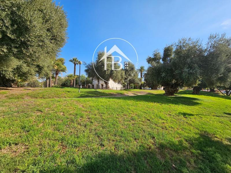 Foto f897e92d-ba78-474a-adac-2c12f4b62849. Finca rústica a Centro San Juan de Alicante
