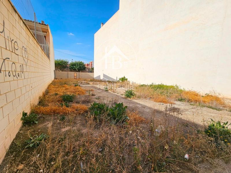 Foto c3605459-5e6c-4305-a4ea-e99757ef7134. Finca rústica en Centro Mutxamel