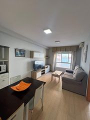 Alquiler Apartamento en Ciudad Jardín - Tagarete - El Zapillo. Piso para profesores