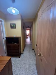 Alquiler Piso en Ciudad Jardín - Tagarete - El Zapillo. Se alquila piso para estudiantes