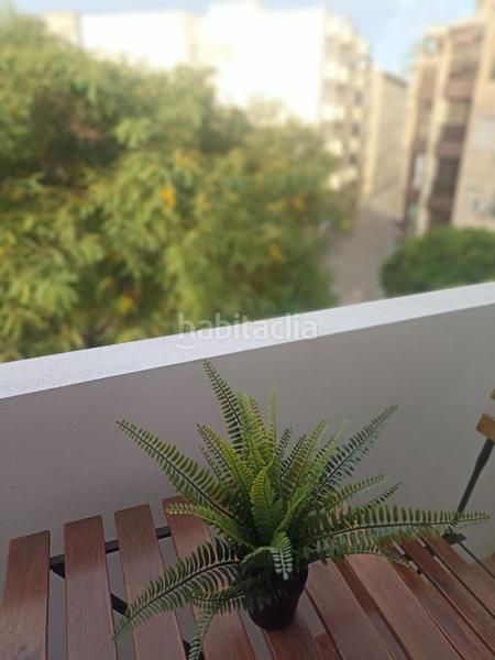 Foto 032129a5-bdd5-4ac1-bd45-f4df22e48747. Alquiler piso  para temporada escolar en Centro Almería