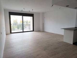 Pis a Francesc ribas 56. Piso en venta en font verda