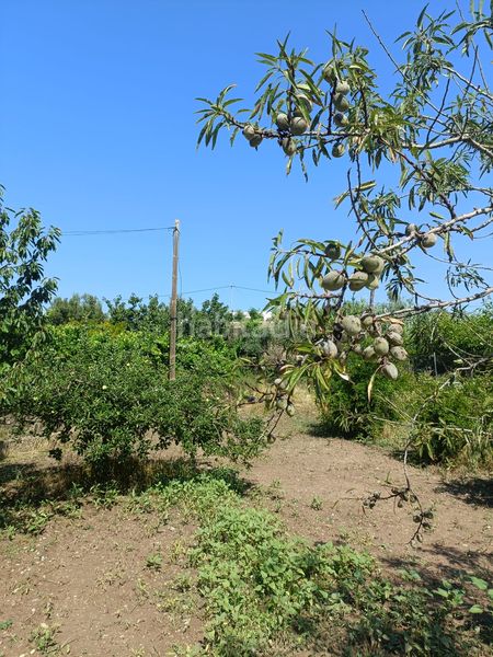 Foto 23dcf0d1-7c14-40e5-9105-55606e3bbd78. Finca rústica a Jérica