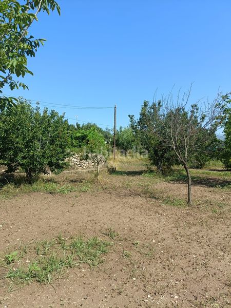 Foto 3e8f7772-c055-447c-a16b-d18b22b39c71. Finca rústica a Jérica