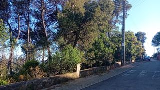 Terreny residencial a Carrer del Gregal