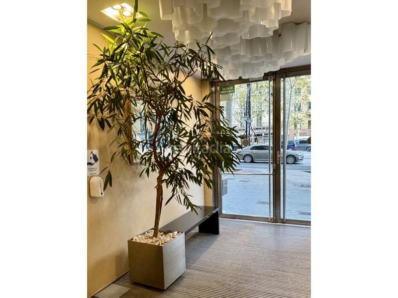 Foto afa641bd-e430-4b4f-974b-8bd36ae5b42d. Miete büro in paseo gracia 103 in Dreta de l´Eixample Barcelona