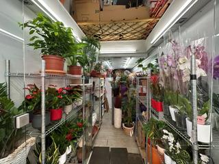 Rent Business premise  N/a. Local en alquiler craywinckel