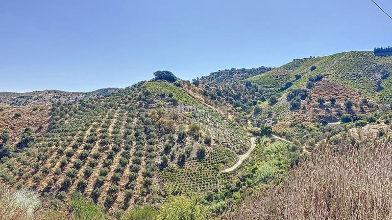 Foto 876320a1-38dd-4d49-919b-0e67edc5f56f. Bauernhof mit parking pool in Almáchar