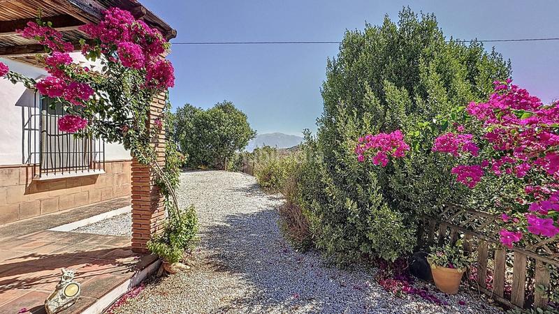 Foto f0b38d98-0cb2-450c-b32d-b3f30d2fe83c. Bauernhof mit parking pool in Almáchar