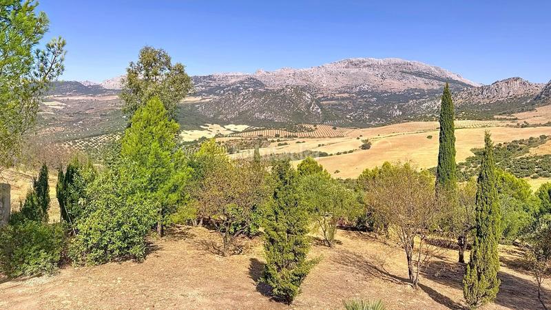 Foto 7a1cd3a5-f7e3-433e-b3ea-f6f74269bfc1. Casale con parcheggio piscina in Riogordo