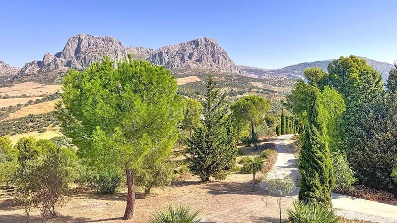 Foto 2955edc6-442e-4d85-8ef7-d26d4df932e8. Masia amb aparcament piscina a Riogordo