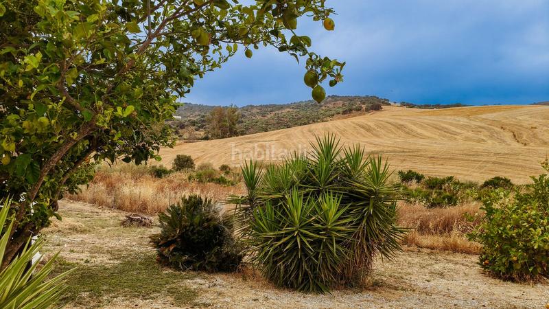 Foto 45ba0372-0264-498f-9c3c-72ef742d86d2. Masía en Almogía