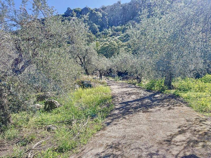 Foto 200acdab-f035-427d-923b-f3acac75f5cf. Masia a Comares