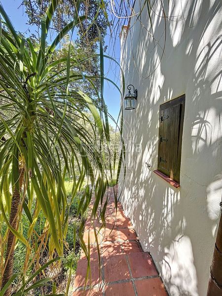 Foto 331fe3cc-eee1-44e1-8036-c0177be9ea0d. Masia a Comares