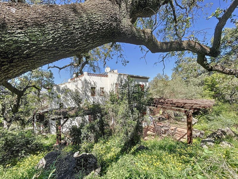 Foto 6221e073-ae32-4cf8-910d-b3526ff553ac. Masia a Comares