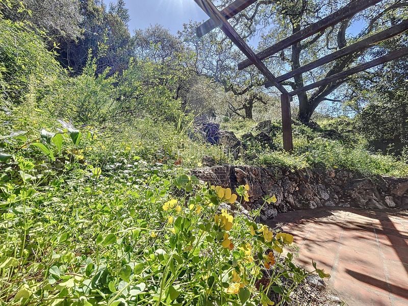 Foto 67ca05ed-d1d4-4fba-8532-cc44d6d9c279. Masia a Comares