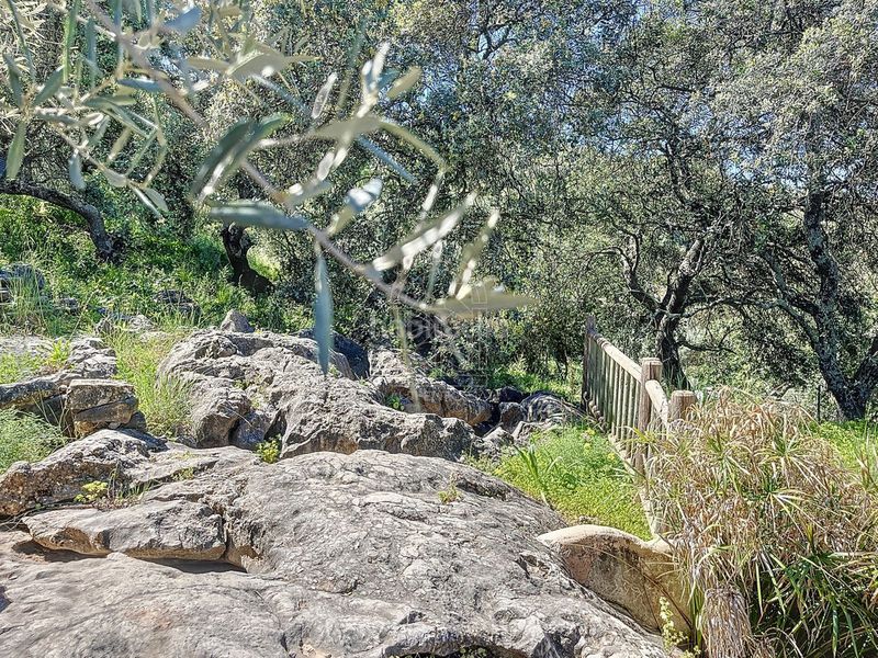 Foto 6a61343e-560d-44ca-93a5-f3afa04363fa. Masia a Comares