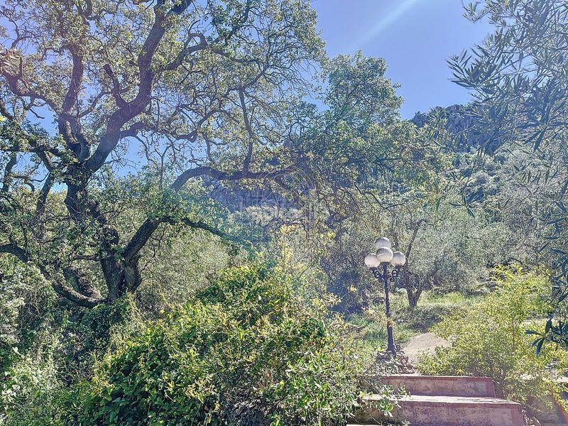 Foto 89d6e7fe-48a3-42d5-bb46-acb3a50e3b93. Masia a Comares