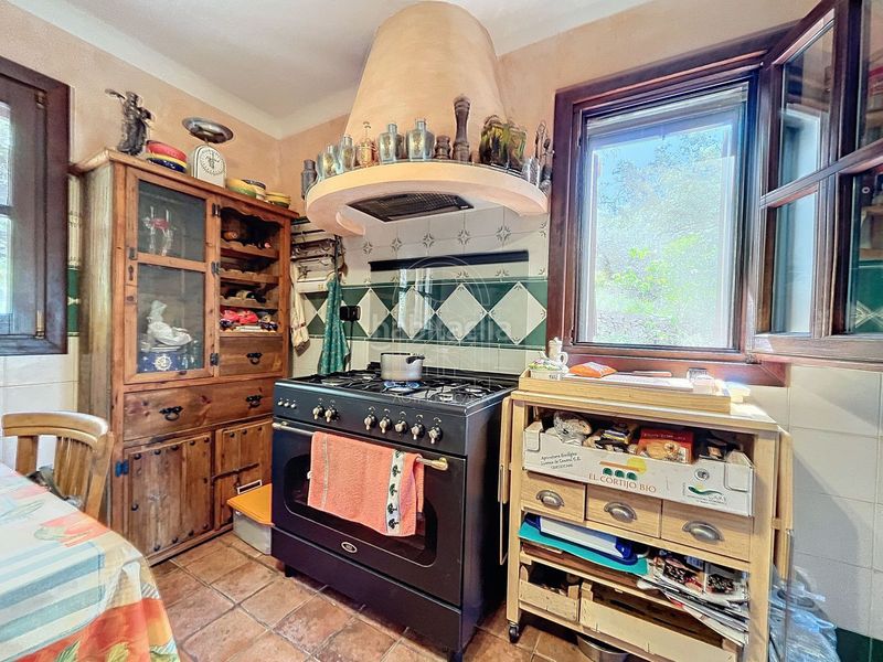 Foto 8b7d359a-7ab7-41a0-a3d6-c583dce7e089. Masia a Comares