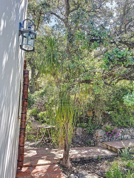 Foto d1cb8066-4550-47d6-be1f-391604b33139. Masia a Comares