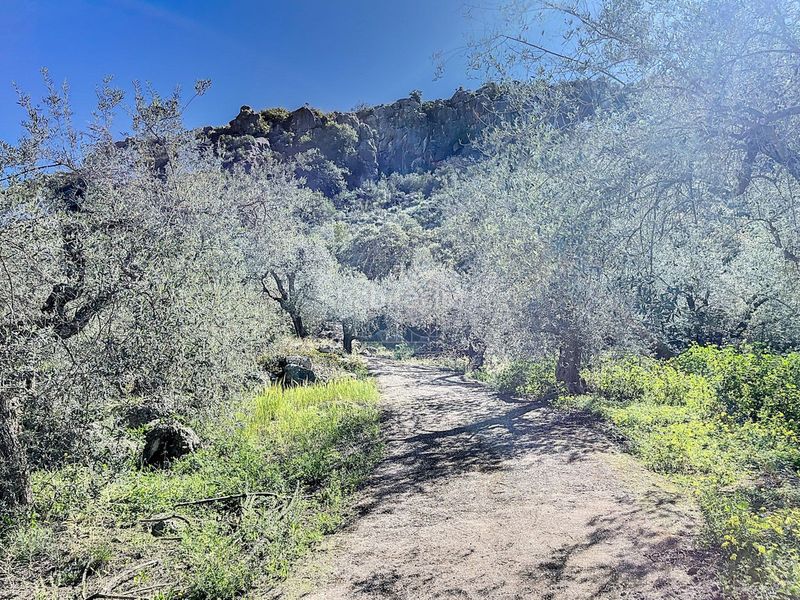 Foto e9d00927-b959-4cfc-a7fc-0634659667f0. Masia a Comares