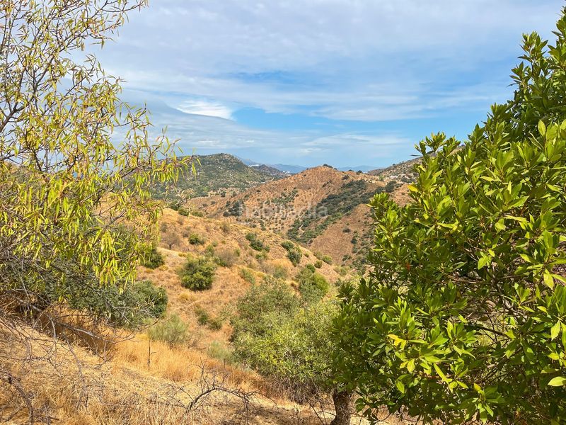 Foto 180db4a9-6f55-4b28-b95e-225ba417b3f2. Masia amb aparcament a Olías Málaga