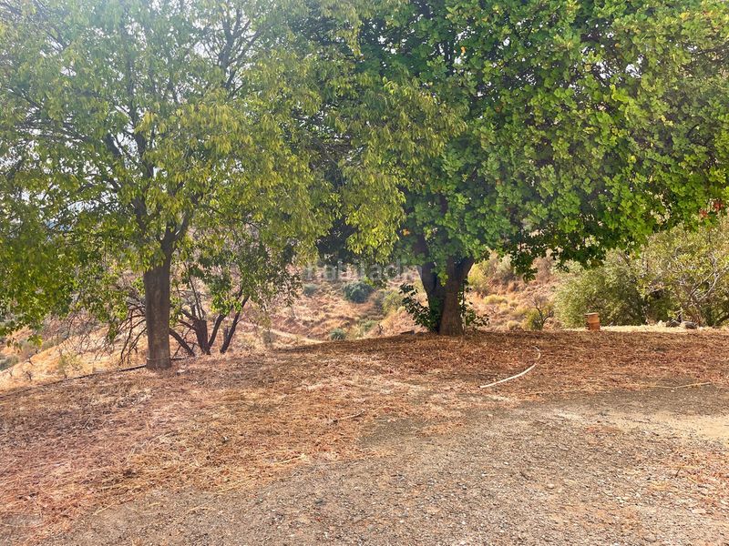 Foto 3a4d6ead-7569-474f-b117-2c5a1b1d1021. Masia amb aparcament a Olías Málaga