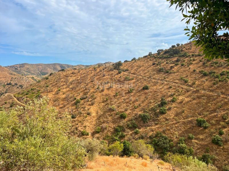 Foto 4e947311-fd5a-4ee2-b08e-facd82436fbc. Masia amb aparcament a Olías Málaga