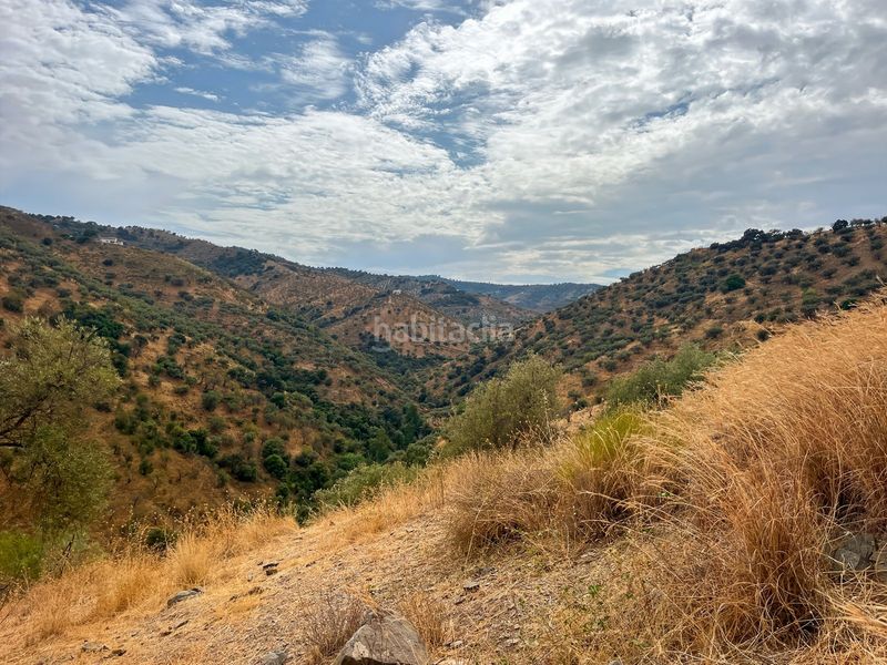 Foto 5358eca3-f457-4a43-8ee2-492d1cf2261f. Masia amb aparcament a Olías Málaga